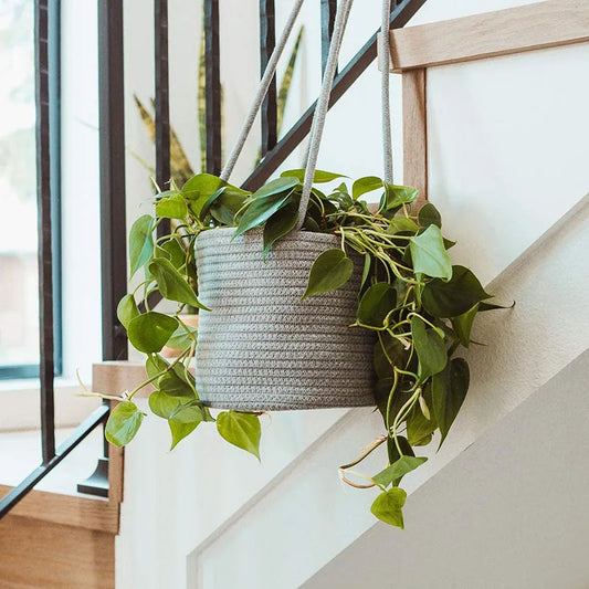 Woven Hanging Planter Basket