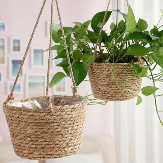 Macrame Hanging Plant Basket