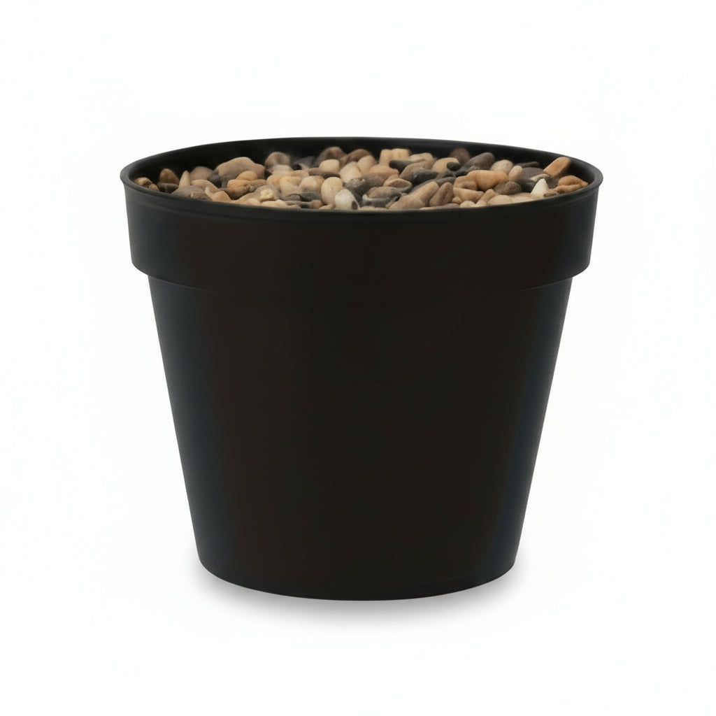 Cone Starter Pot (2-Pack)