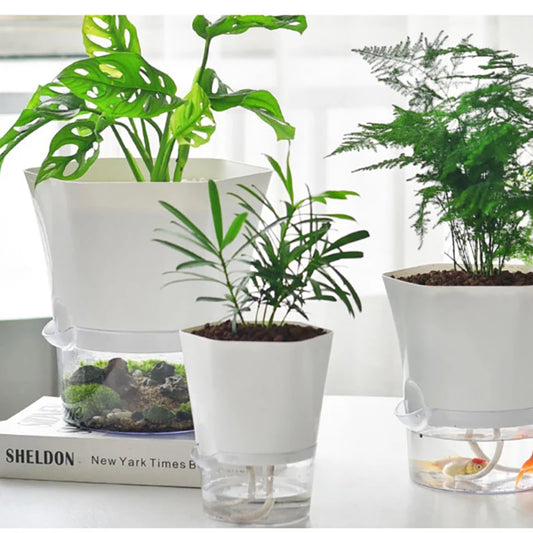 Hydroponic Starter Pot