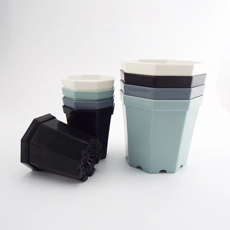 Octogon Starter Pot (4-Pack)