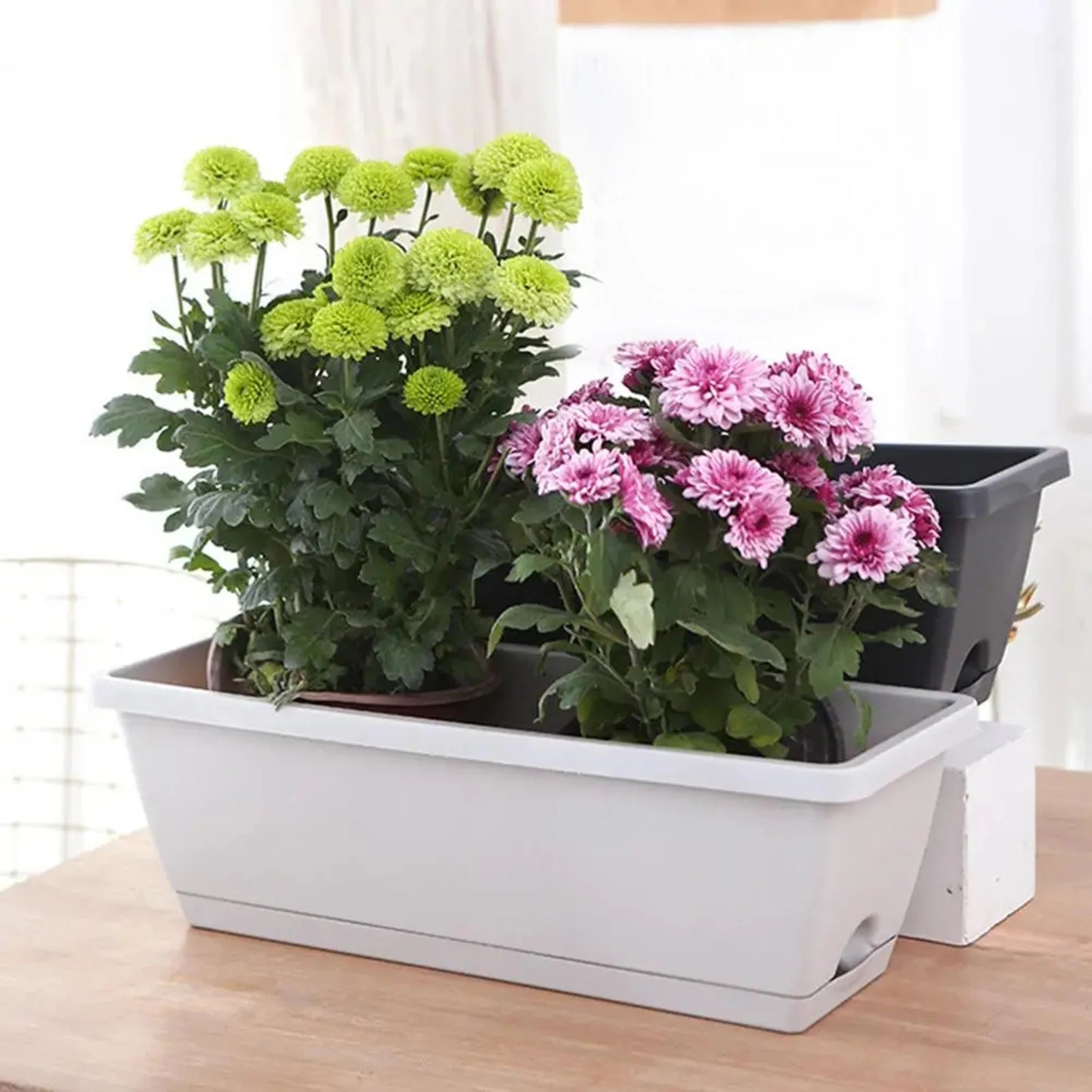 Trough Pot (4-pack)
