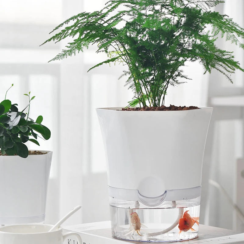 Hydroponic Starter Pot