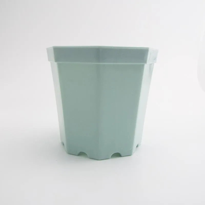 Octogon Starter Pot (4-Pack)