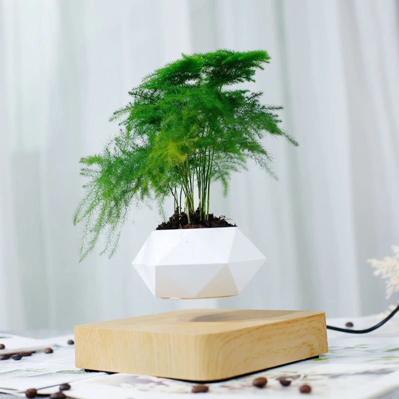 Gravity Mini Planter