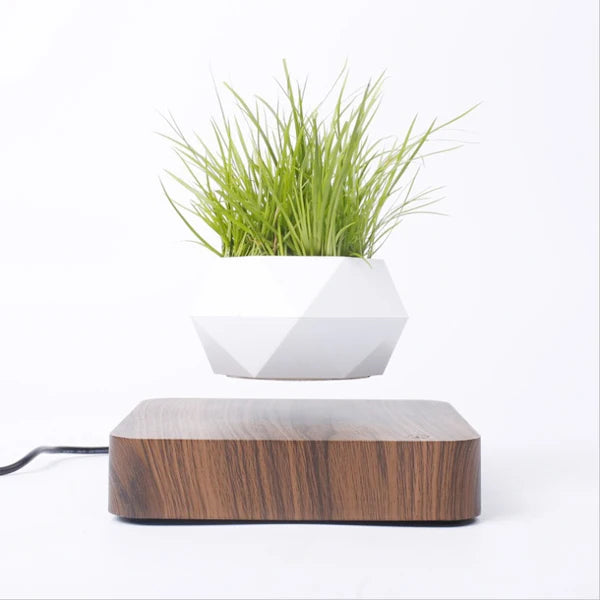 Gravity Mini Planter