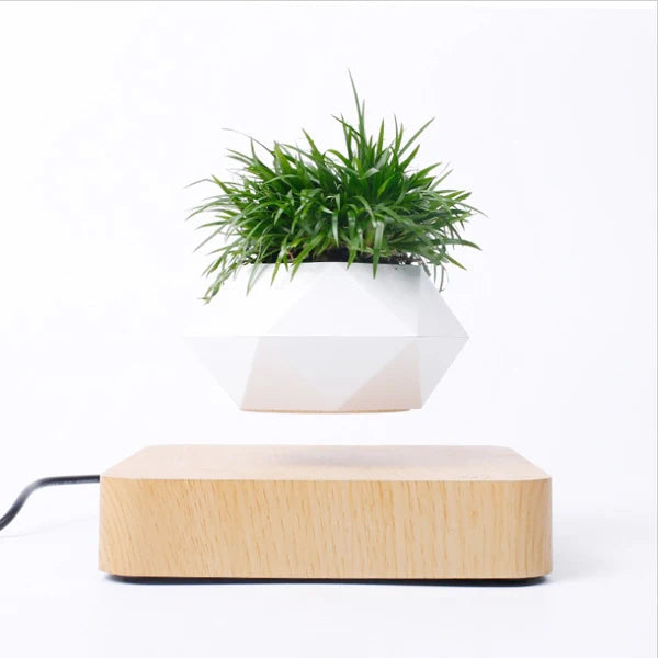 Gravity Mini Planter