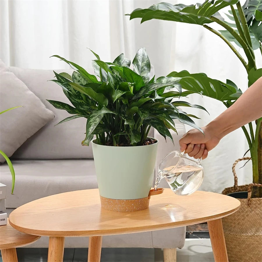 Sage Self-Watering Pot (5-pack)