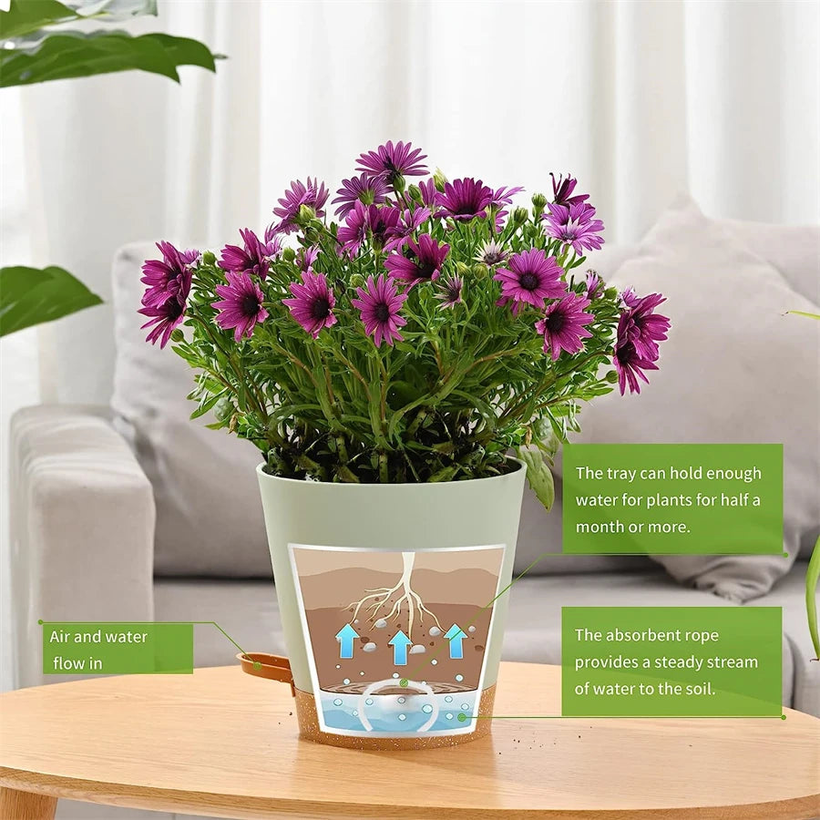 Sage Self-Watering Pot (5-pack)