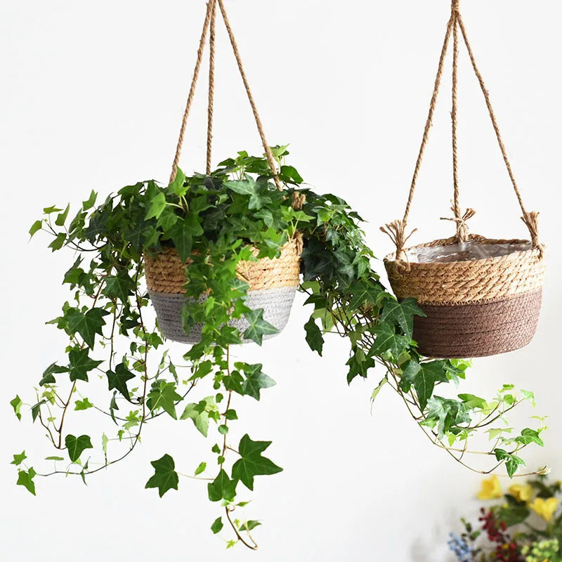 Macrame Hanging Plant Basket