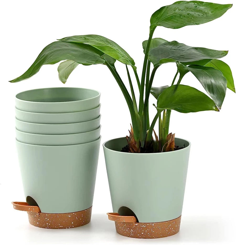 Sage Self-Watering Pot (5-pack)