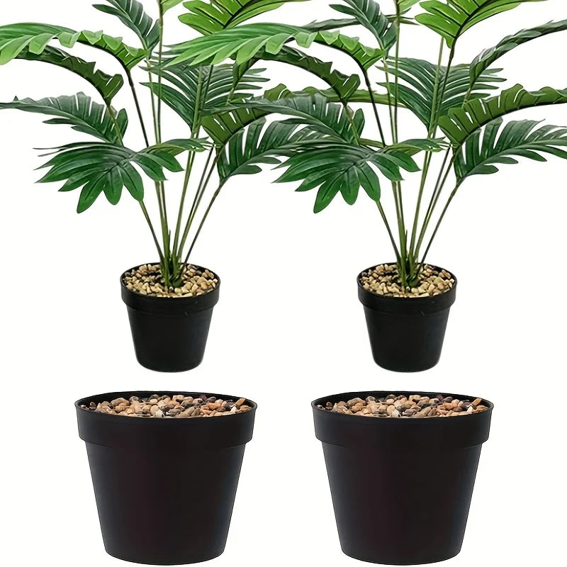 Cone Starter Pot (2-Pack)
