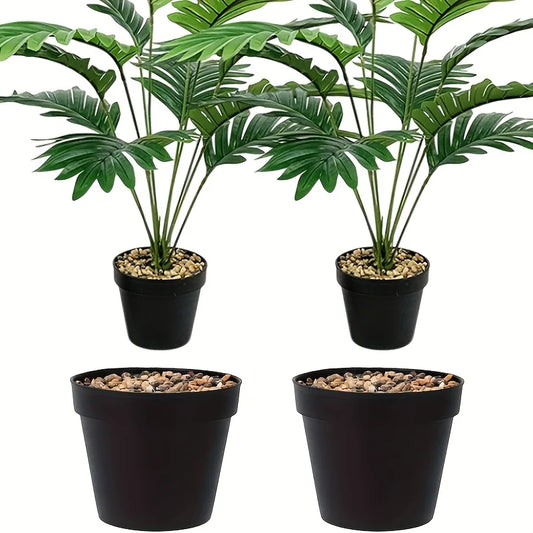 Cone Starter Pot (2-Pack)