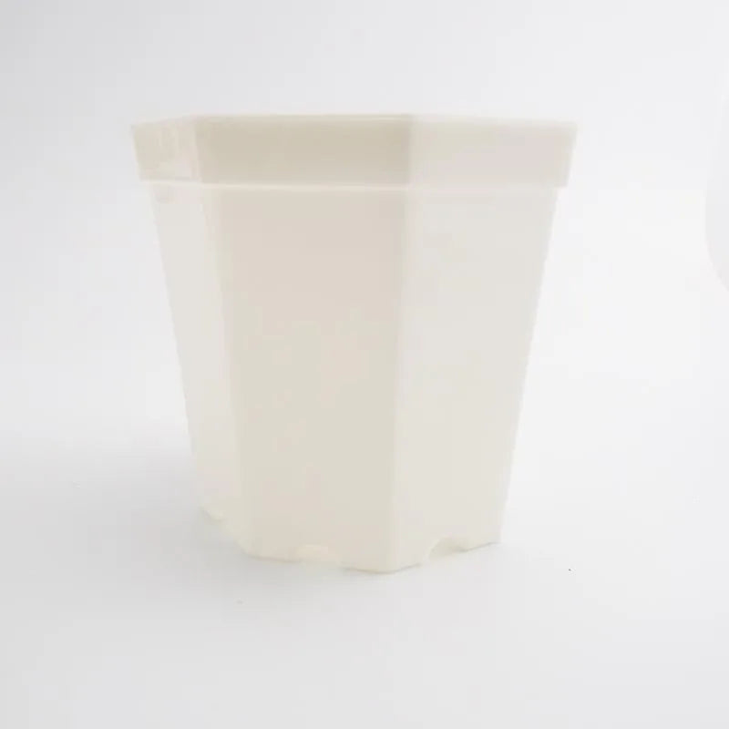 Octogon Starter Pot (4-Pack)