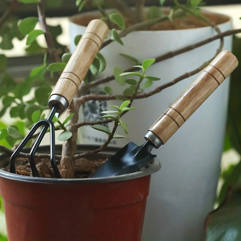 Mini Garden Tool Set
