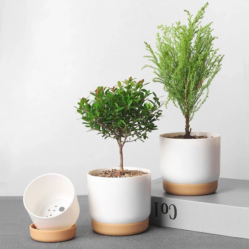 Minimalist Pot