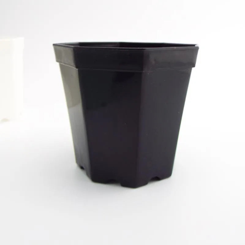 Octogon Starter Pot (4-Pack)