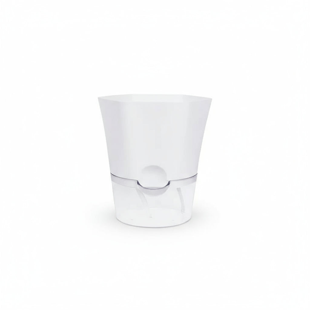 Hydroponic Starter Pot