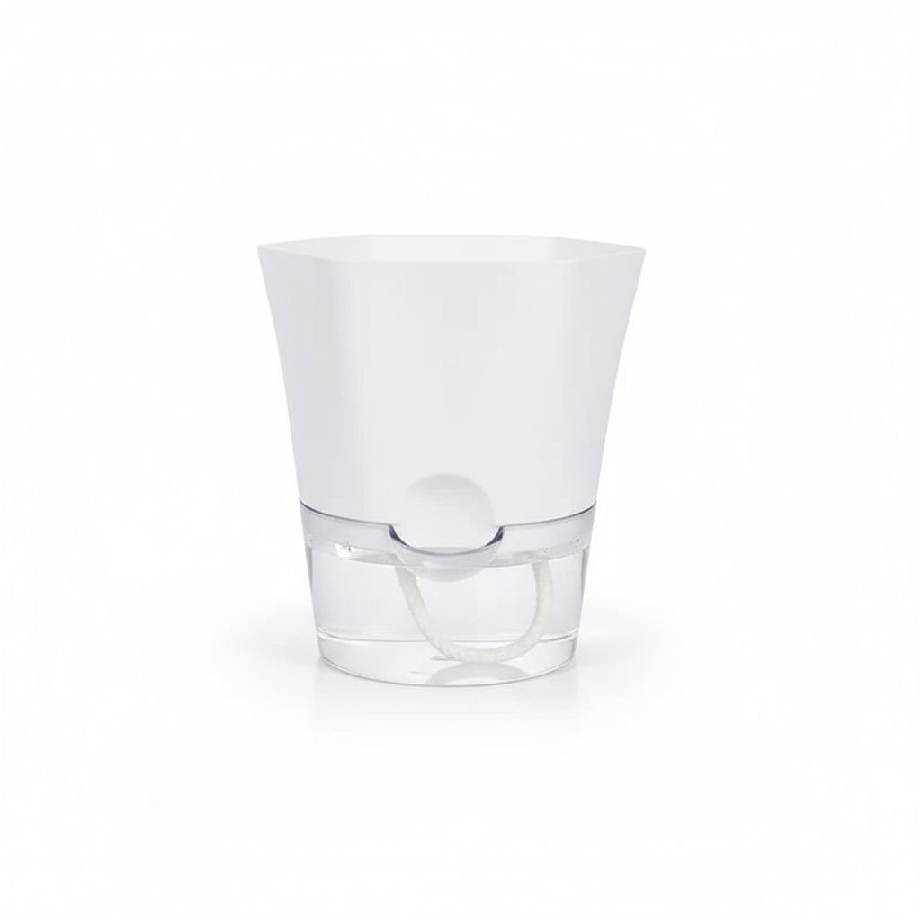 Hydroponic Starter Pot