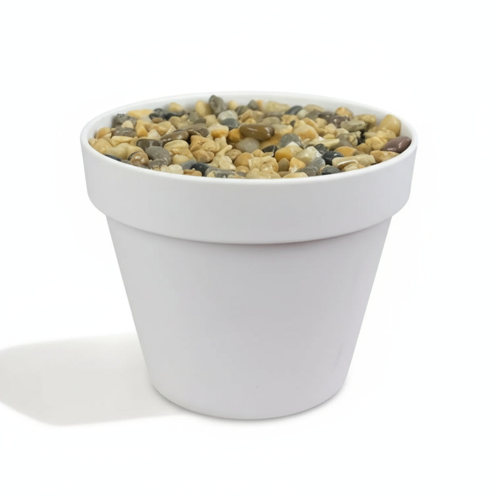 Cone Starter Pot (2-Pack)