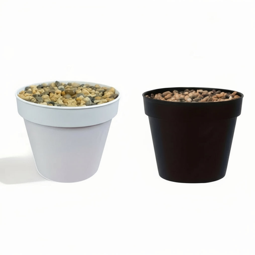 Cone Starter Pot (2-Pack)