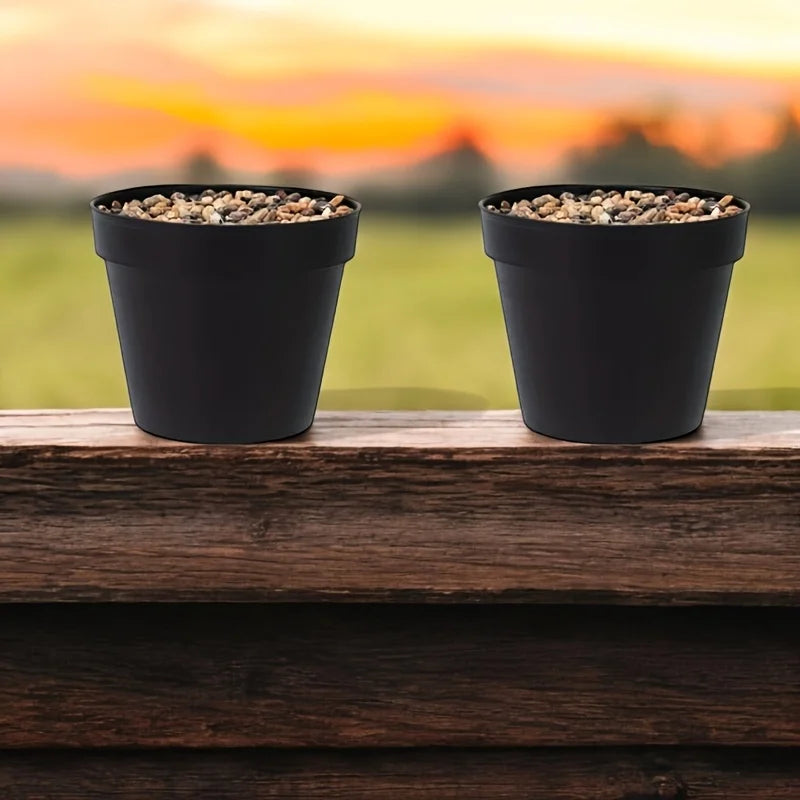 Cone Starter Pot (2-Pack)