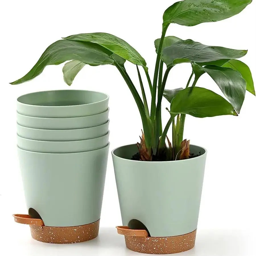 Sage Self-Watering Pot (5-pack)